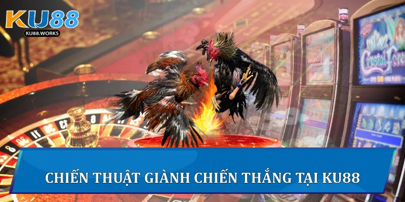 Đá Gà Trực Tiếp C1 - Đấu Trường Kịch Tính Đỉnh Cao Tại Ku88 Chiến thuật giành chiến thắng tại Ku88