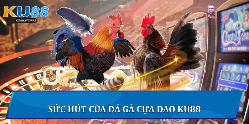 Đá Gà Cựa Dao - Cuộc Chiến Của Những Chiến Kê Tại Ku88 Sức hút của đá gà cựa dao Ku88